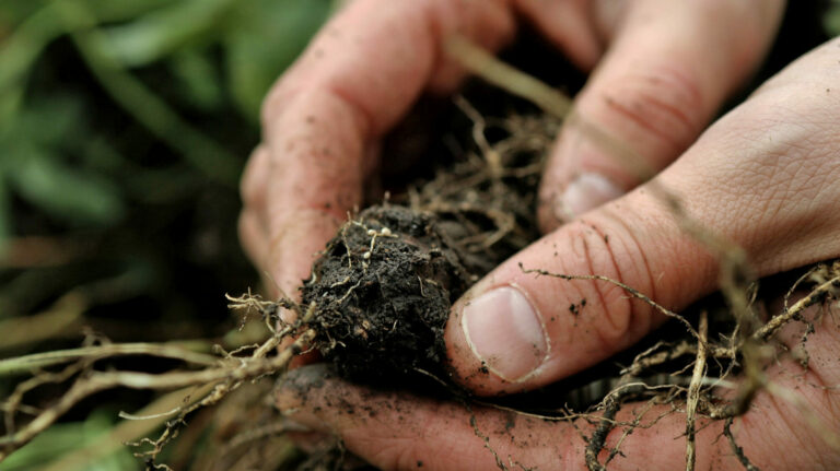 The Proof is in the Soil