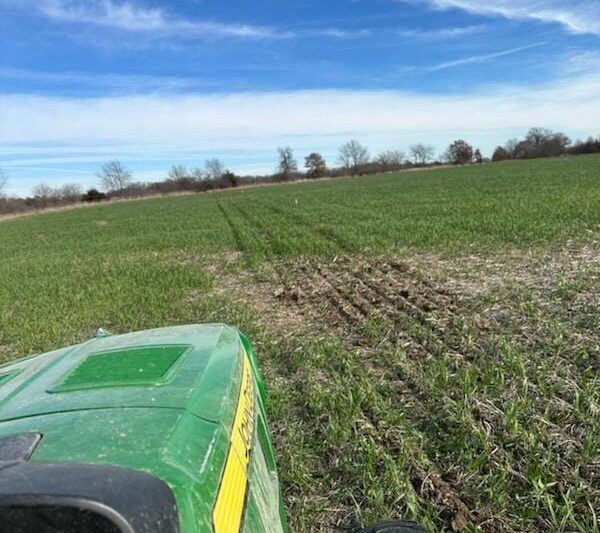 How Precision Conservation Transformed a Farm's Marginal Land into Valuable Habitat
