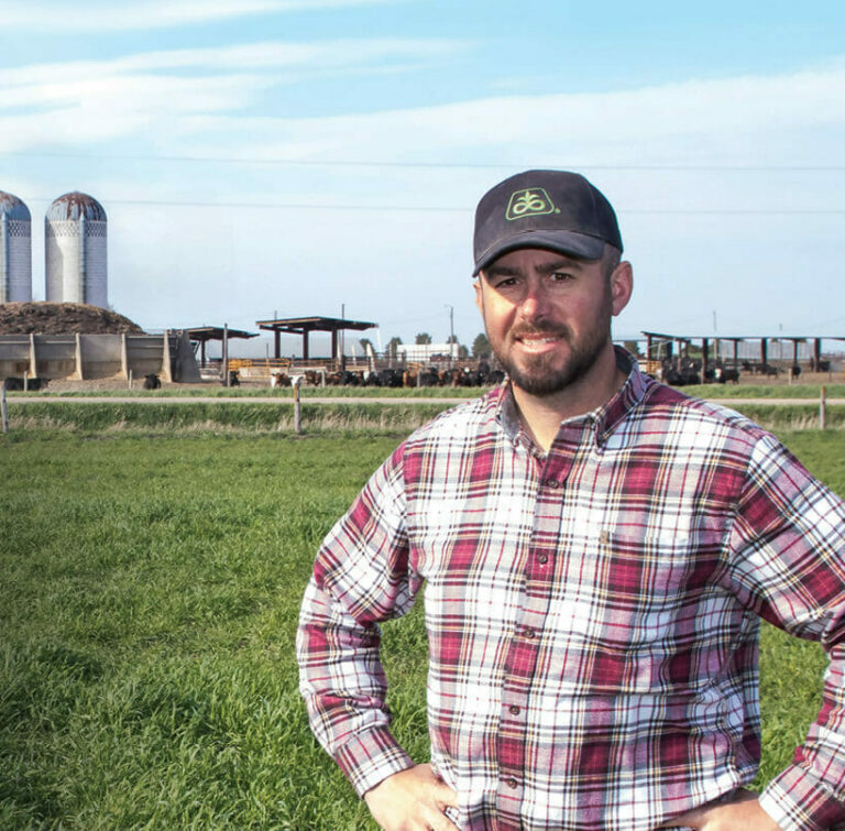 Grazing Covers Yields Green
