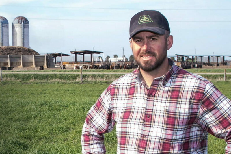 Grazing Covers Yields Green