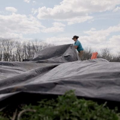 Beneficios de usar lonas para el control orgánico de la maleza