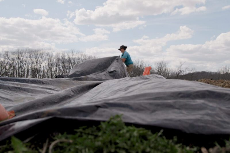 Benefits of Tarping for Organic Weed Control