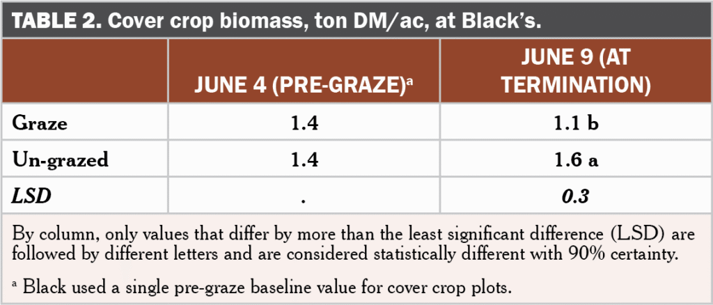 Brassica following grazing table 2