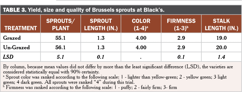 Brassica following grazing table 3