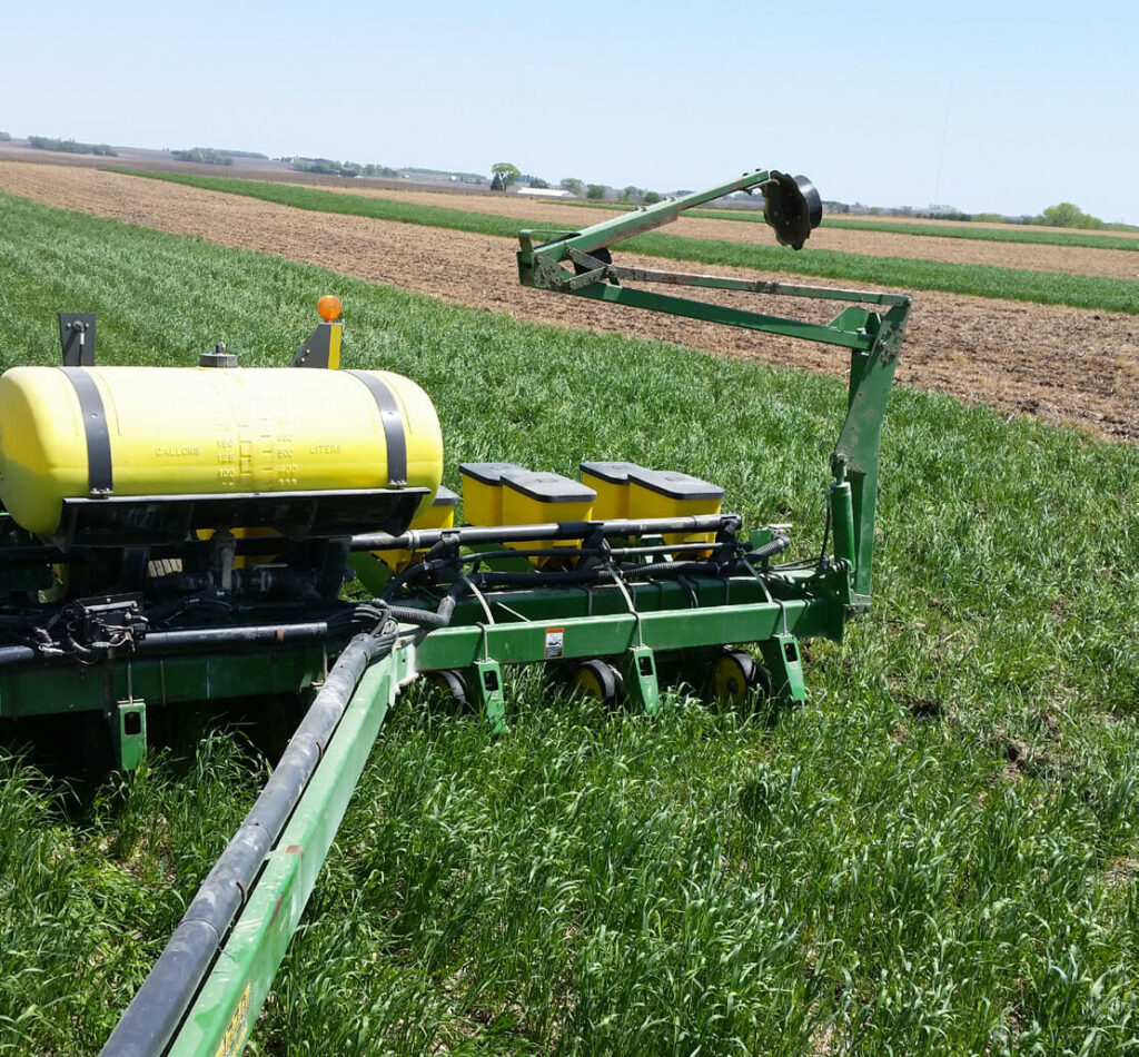 CC Term Ahead of Corn Photo 3