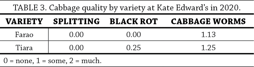 Cabbage Variety Trial Table 3
