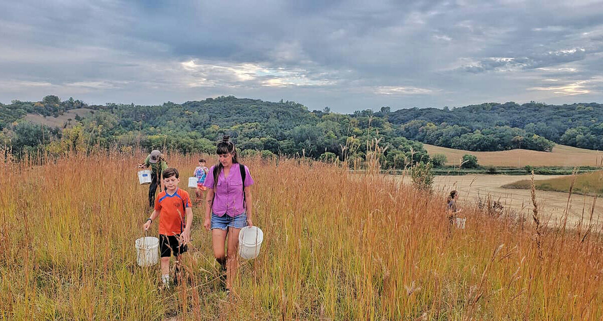 Restoring Habitat on Farms