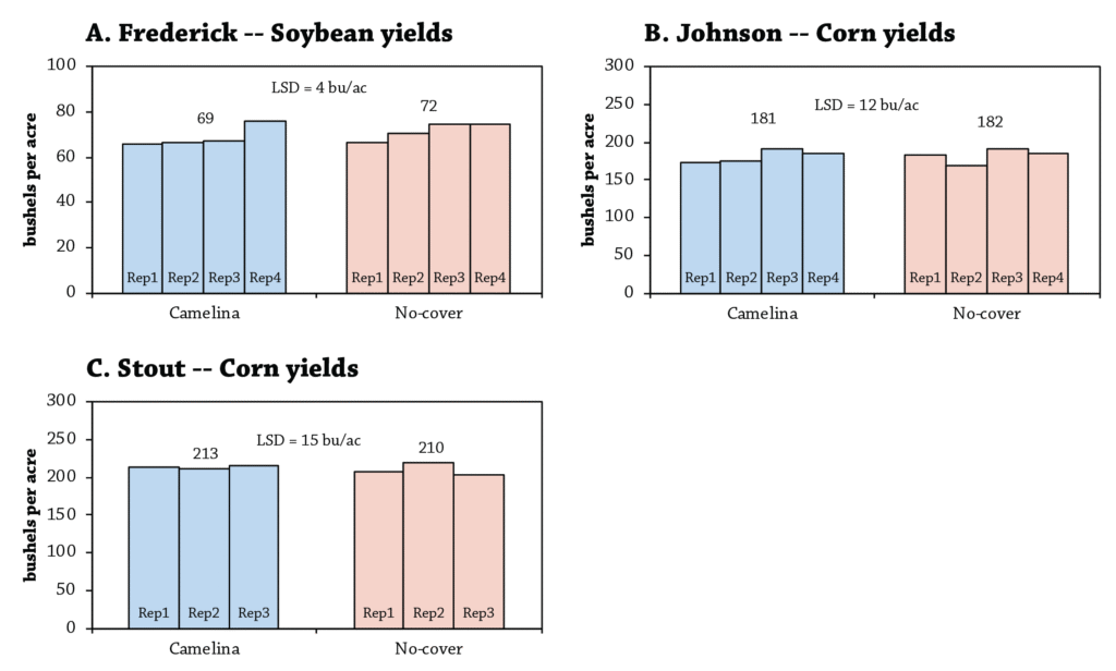 Camelina cover crop corn and soybean yield