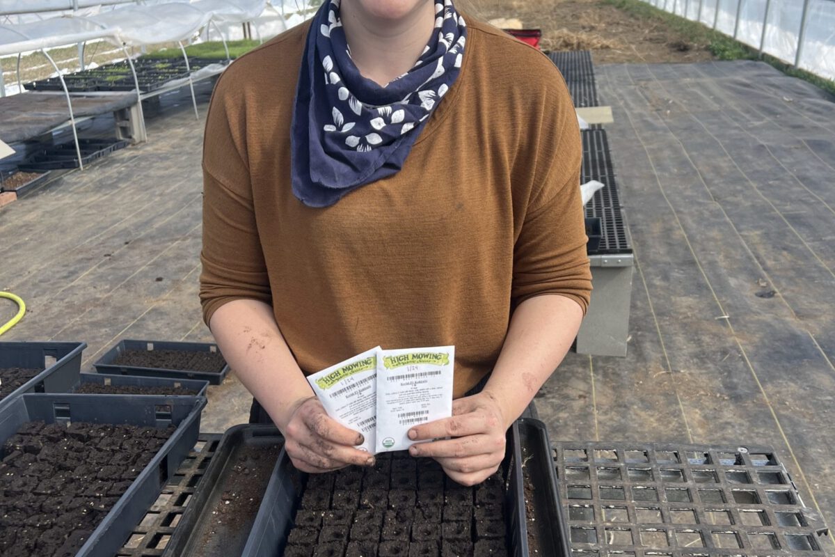 Covering Brassica Seeds When Starting Transplants
