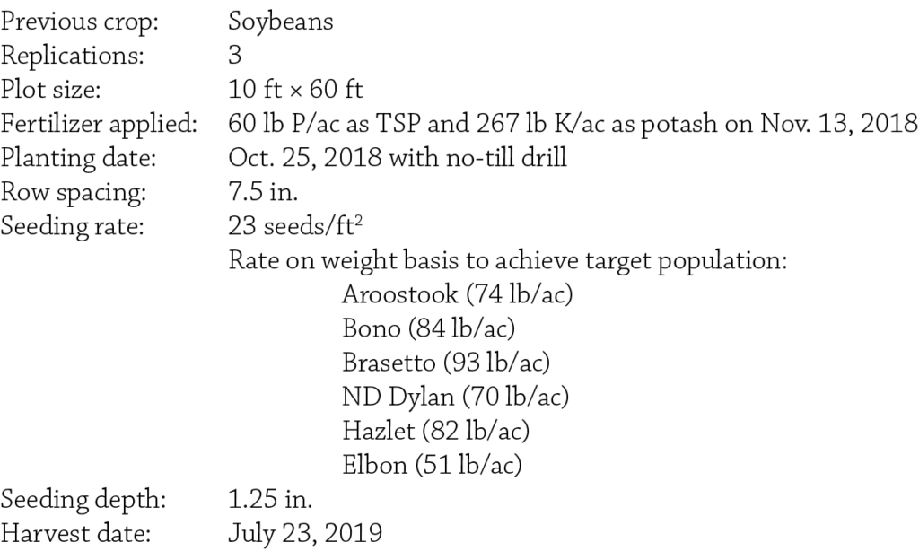 Cereal Rye Variety Trial Nashua