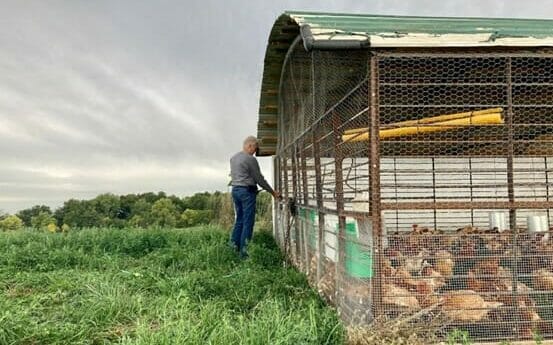 Clever Contraptions: Portable Chicken Shed Made from Salvage