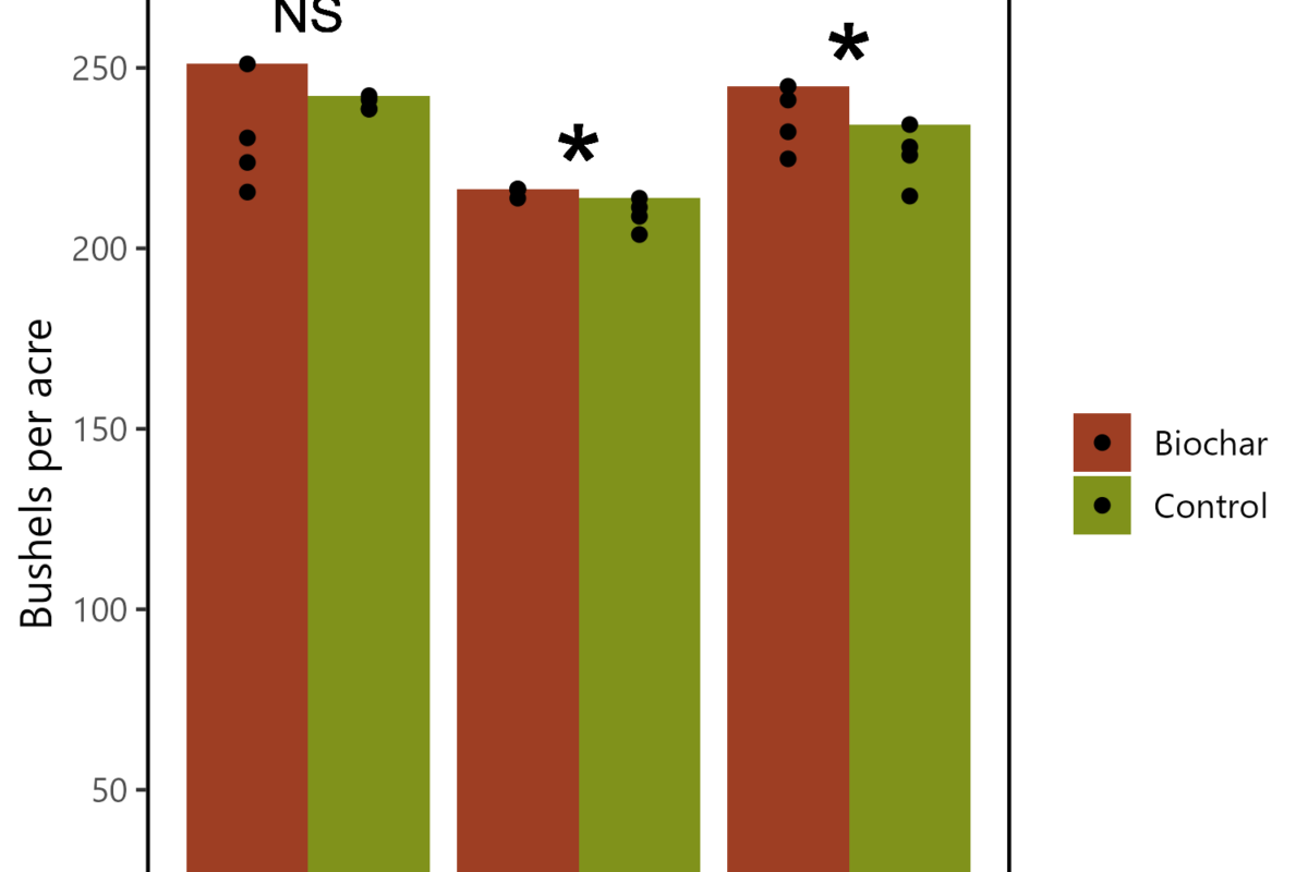 Biochar Seed Treatment for Corn 