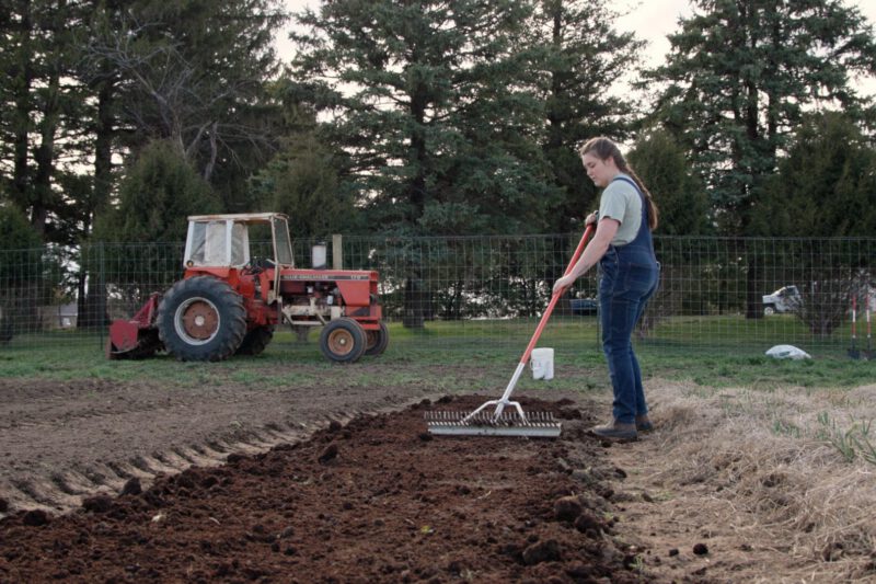 Step-by-Step of a Deep-Compost Mulch System