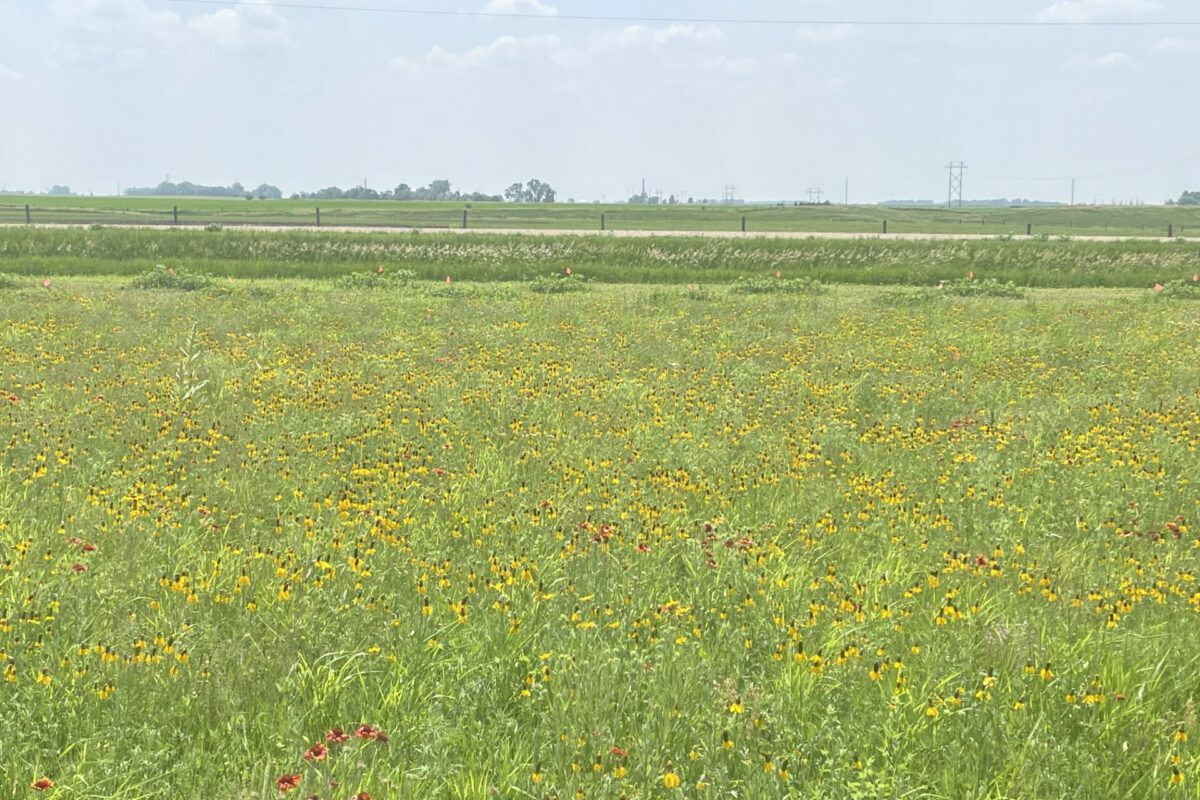 PFI Takes a Magical Prairie Ride at Spencer Field Day