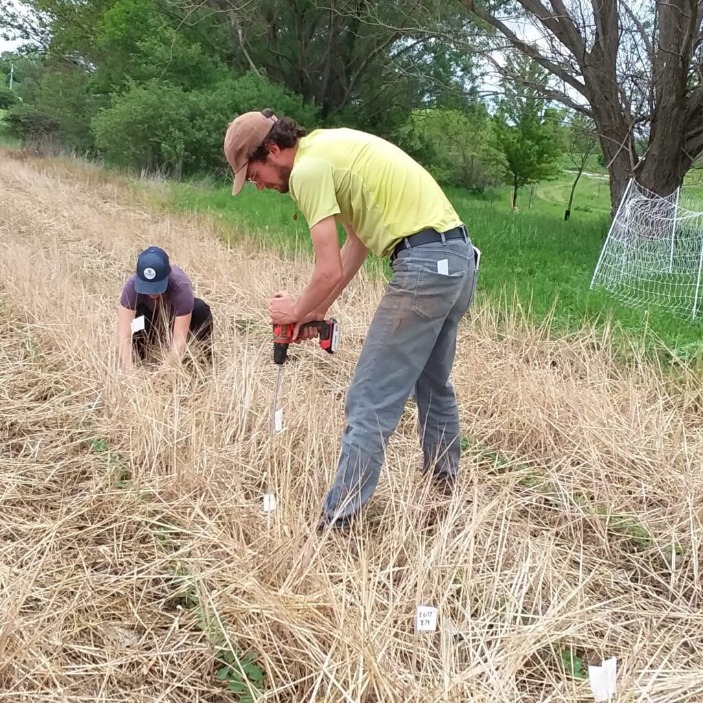 Conventional field site