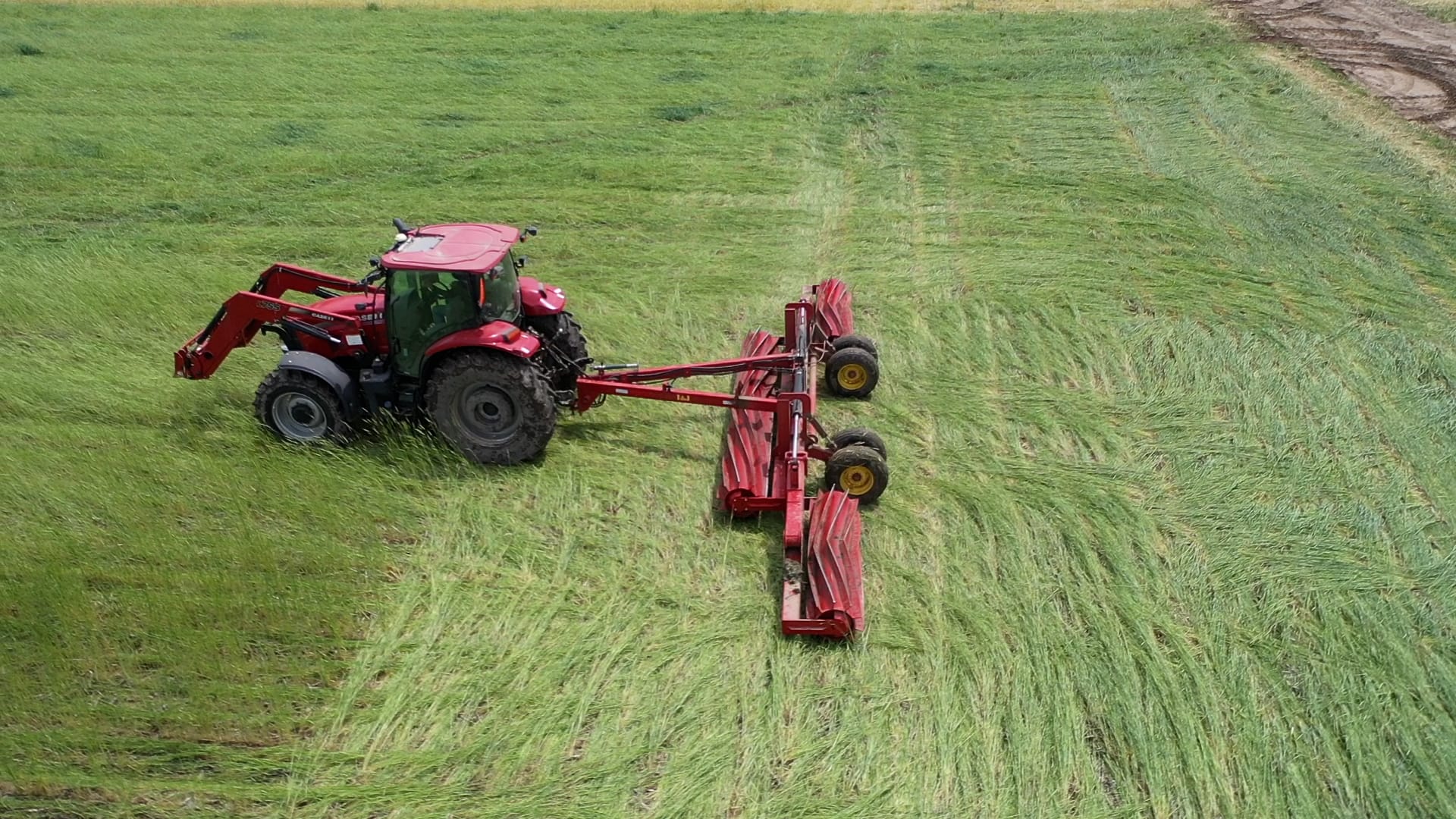 Prensado de centeno con rodillo en la producción de soja - Practical Cover Croppers