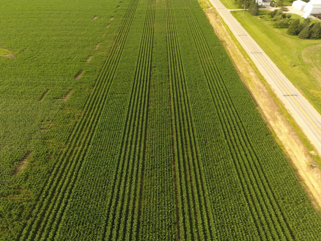 60 inch corn drone