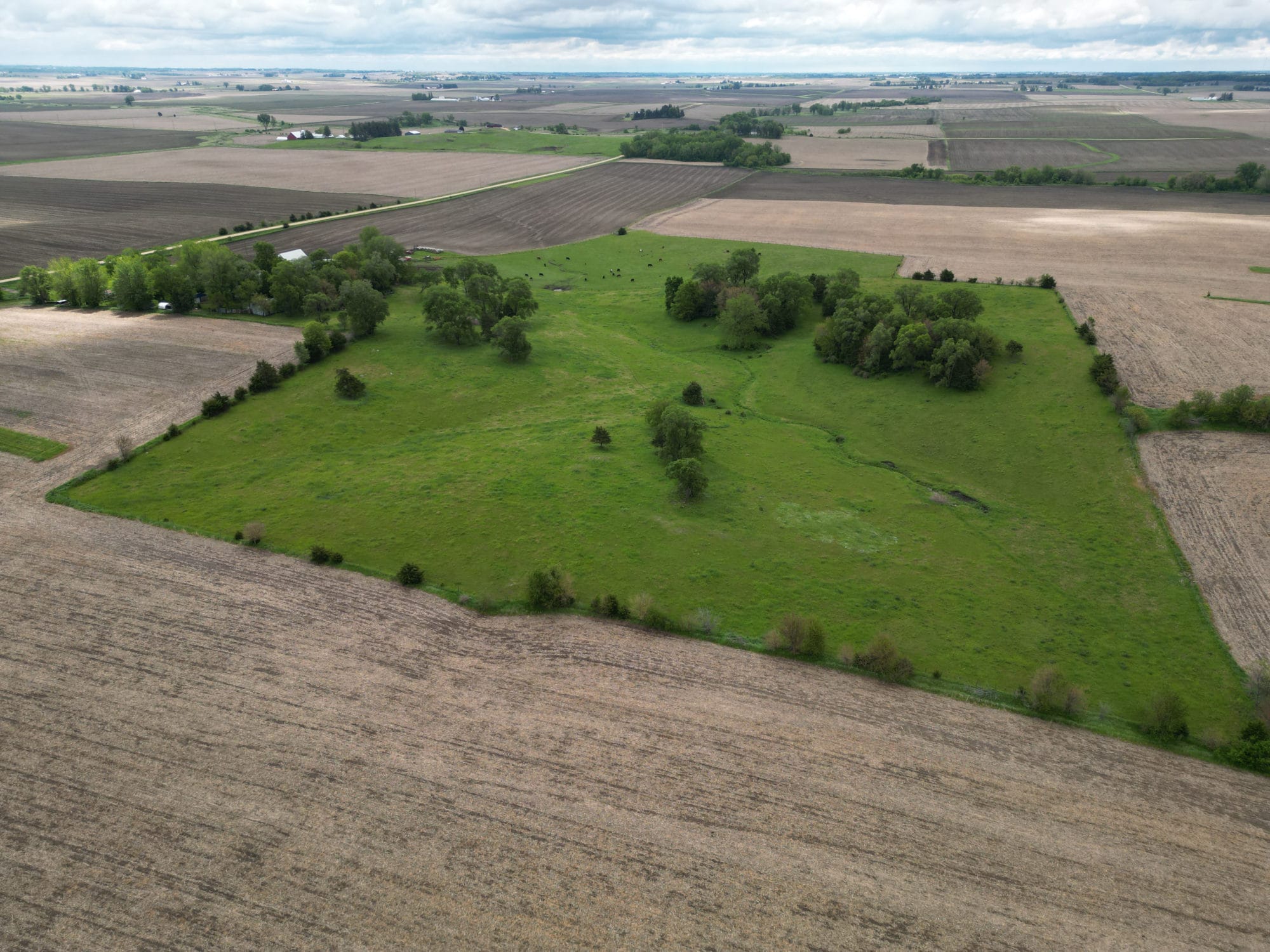 Mapping a Path to Conservation