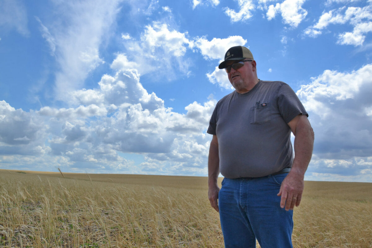 Does Repeated Use of a Cereal Rye Cover Crop Reduce the Need for N Fertilizer for Corn?