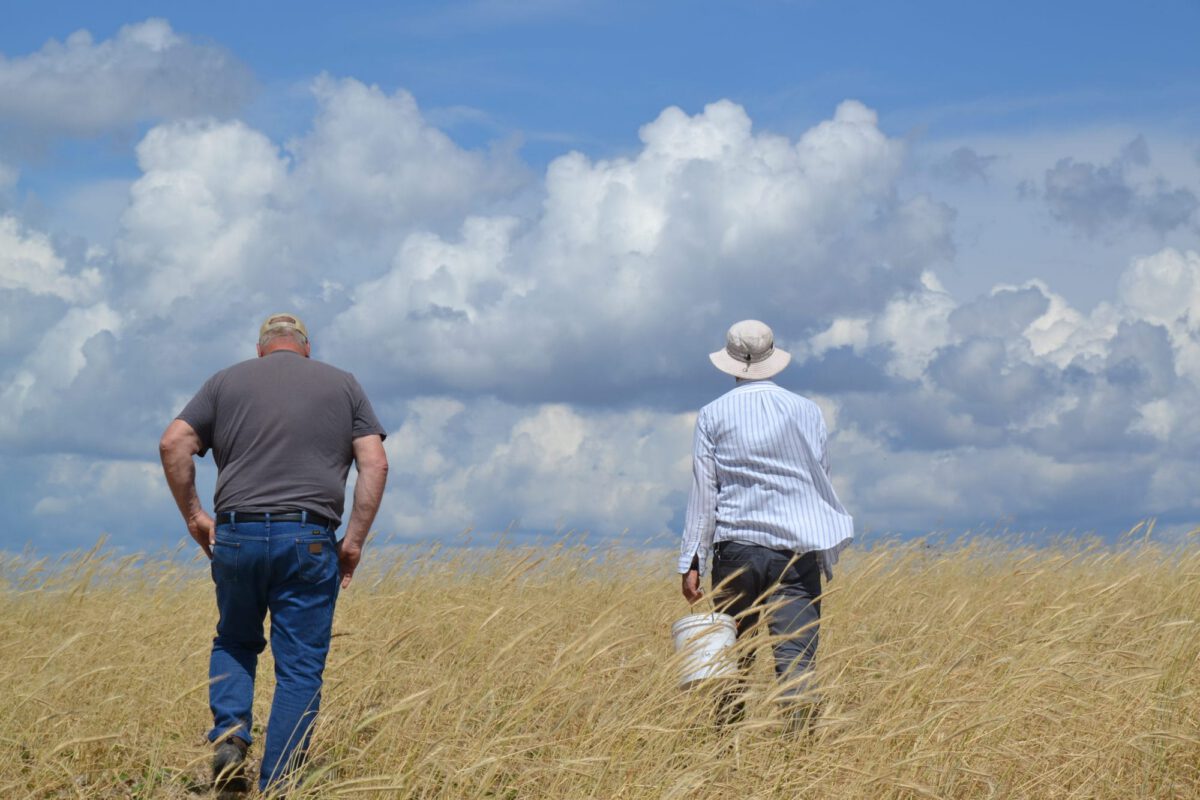 Beginning farmers across Iowa can gain experience through PFI's Labor4Learning program