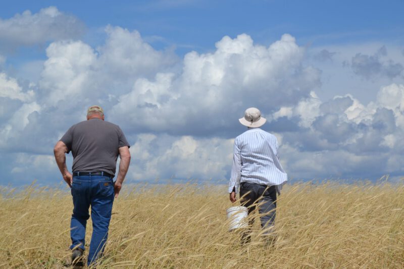 Beginning farmers across Iowa can gain experience through PFI's Labor4Learning program