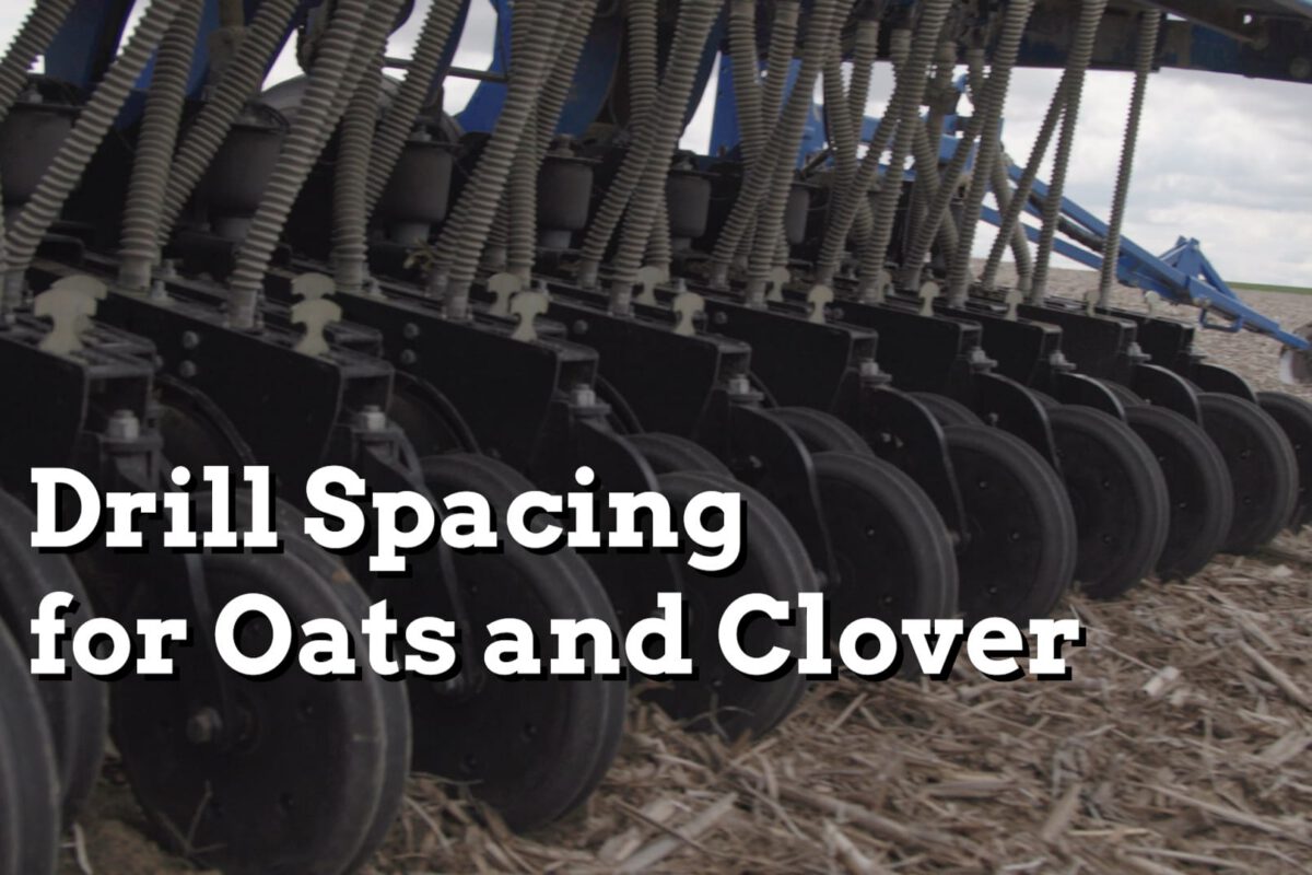 Drill Spacing When Seeding Oats and Clover - Practical Cover Croppers
