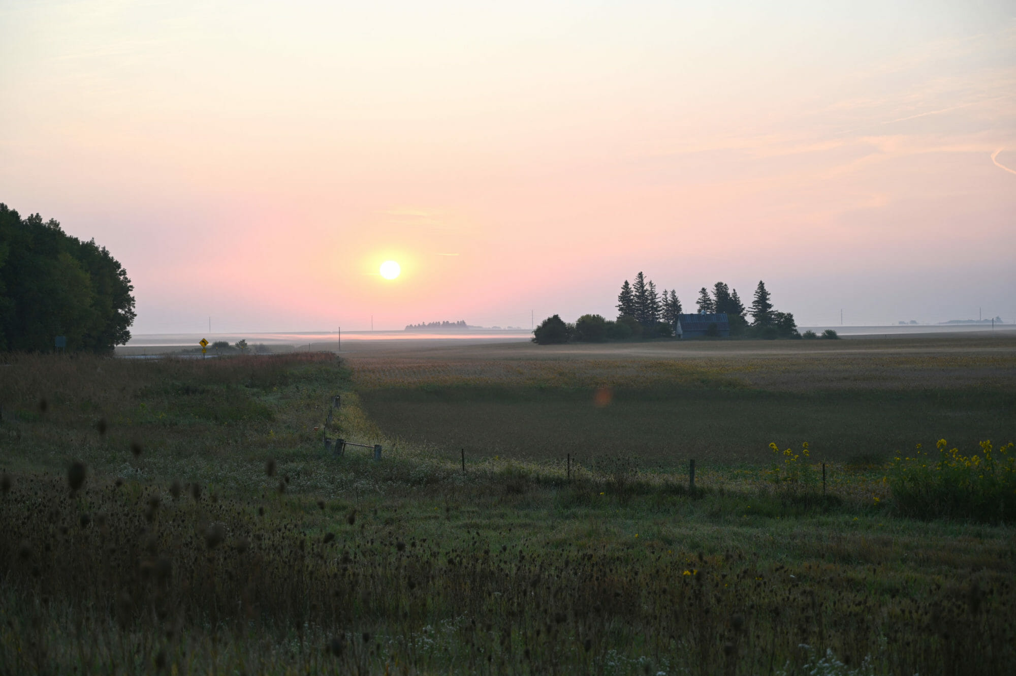 Reflecting on History to Create Resilient Paths Forward