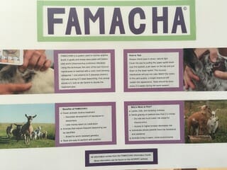 FAMACHA