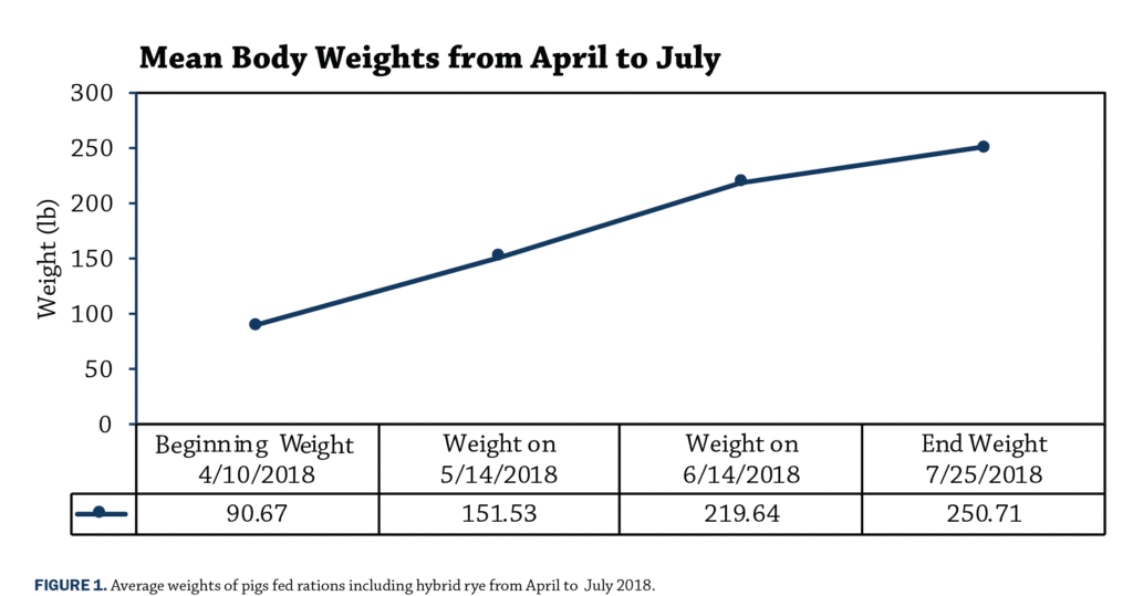 Figure 1 Mean Body Weights 2