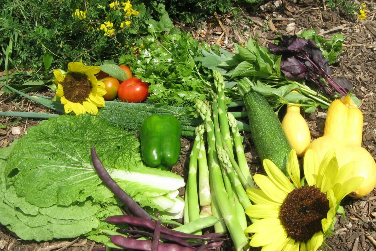 Vote With Your Wallet to Support Local Food