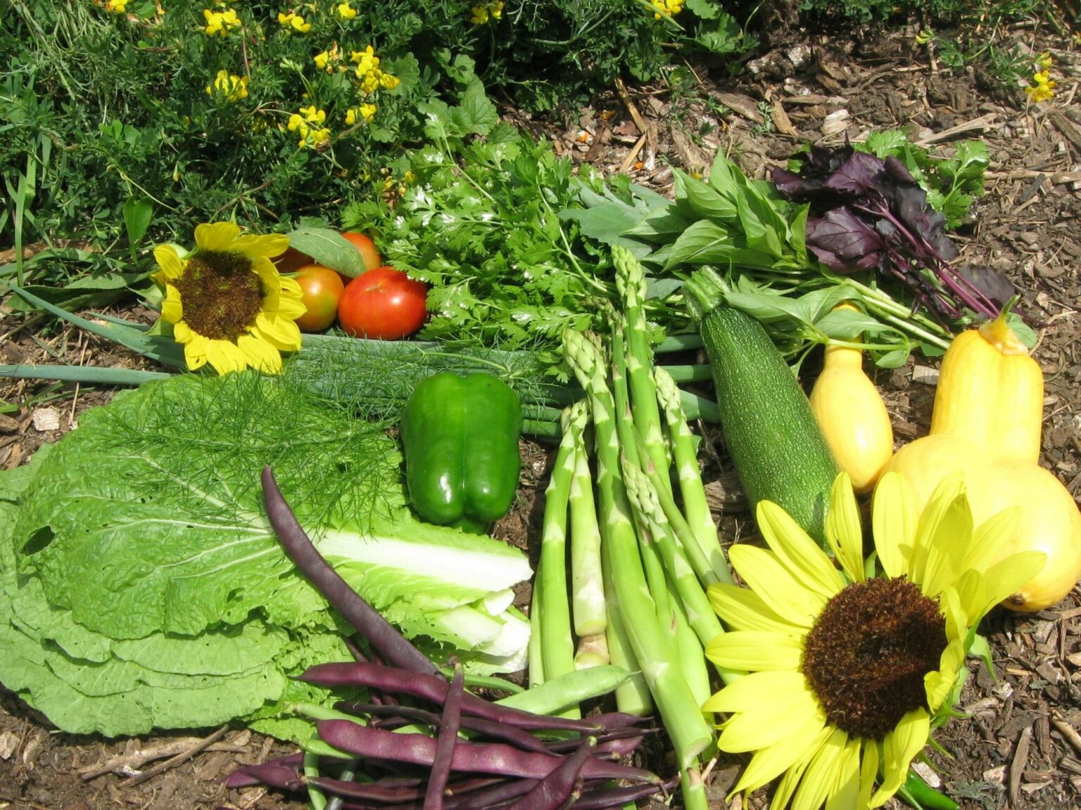 Vote With Your Wallet to Support Local Food