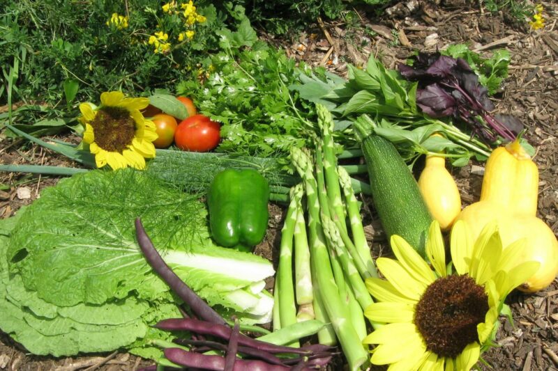 Vote With Your Wallet to Support Local Food