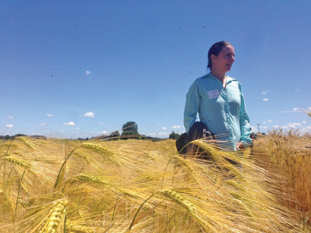 Variety Selection is Key to Small-Grain Success