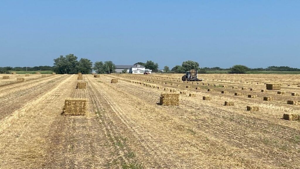 Hay bales Prevo Farm