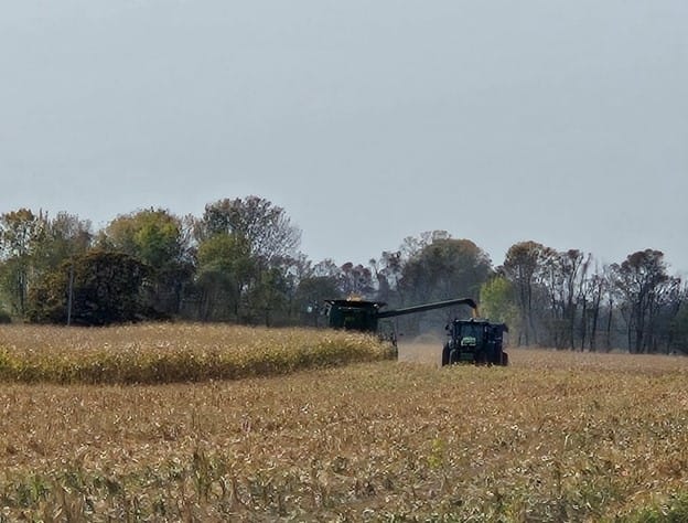 Biostimulant Effects on Corn 