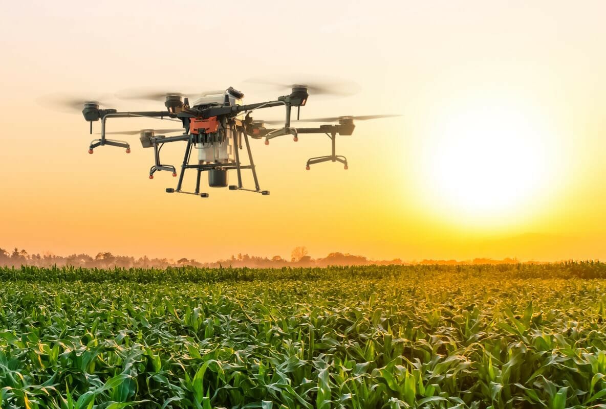 Practical Farmers of Iowa and Iowa Soybean Association Cover Crop Business Accelerator Celebrates 5 Years