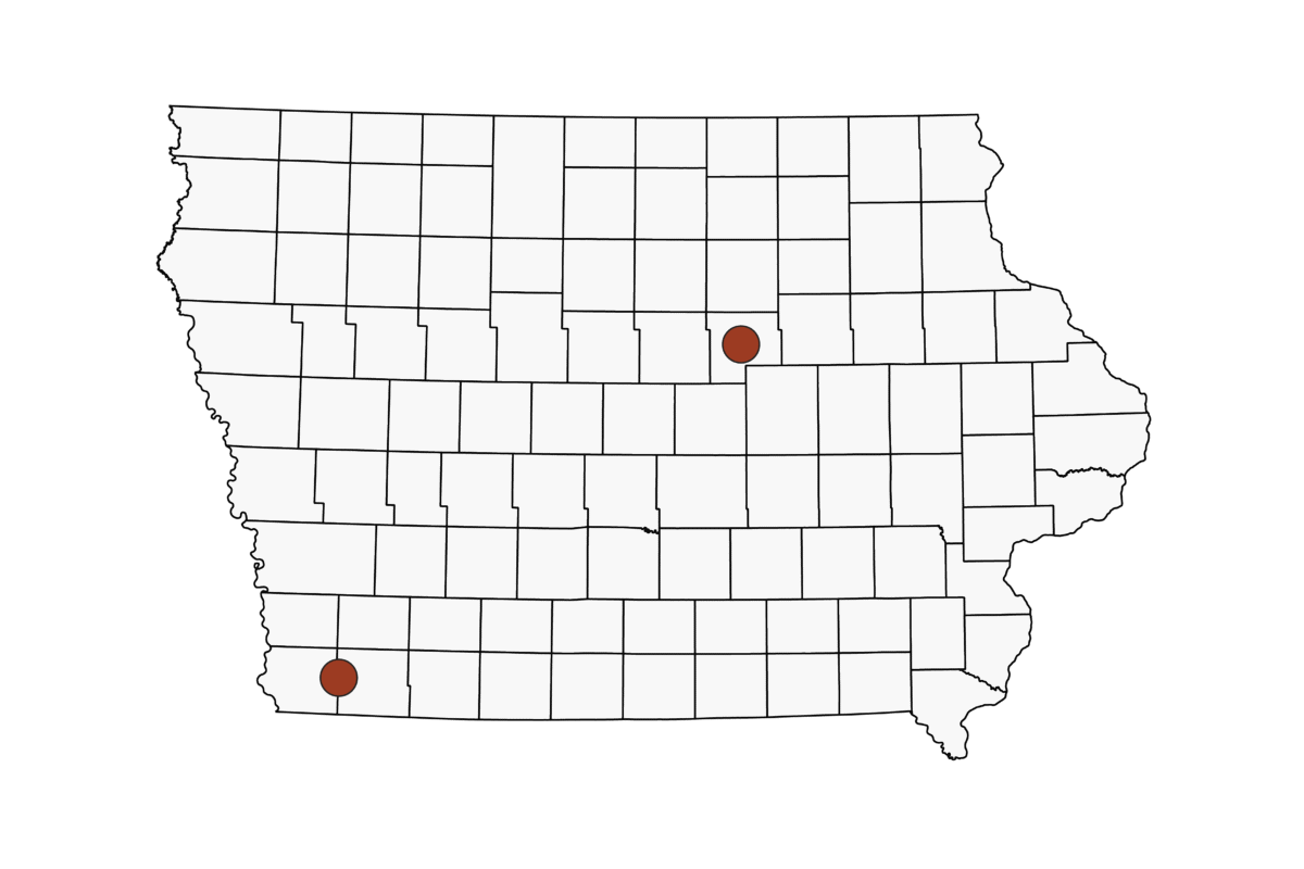 Co-Seeding Legumes with Corn
