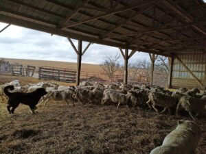 IMG 20250226 103017 HDR