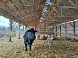 IMG 20250226 104149 HDR