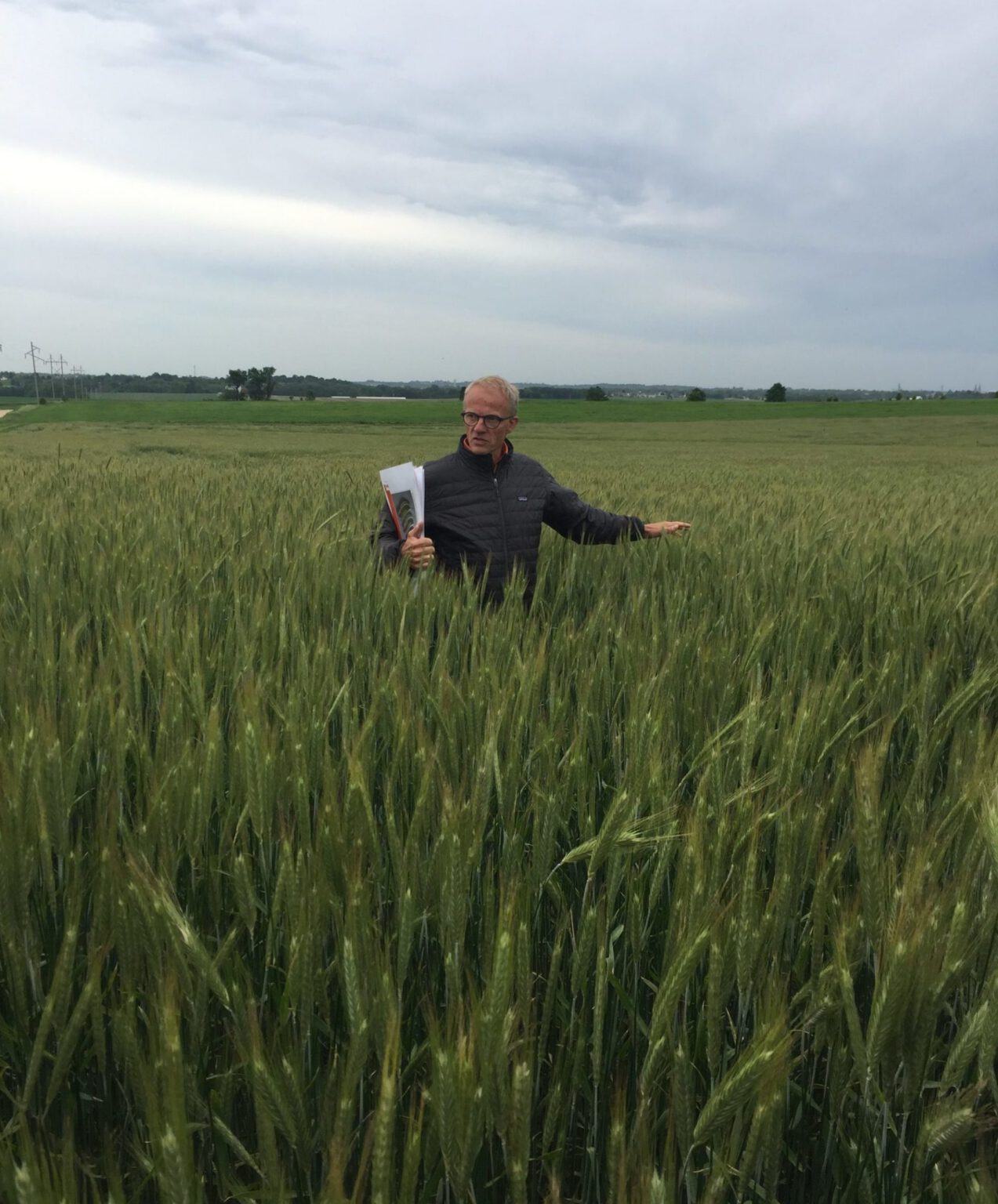 Crop Rotation Analyzer Case Study: Hybrid Rye Pencils Out