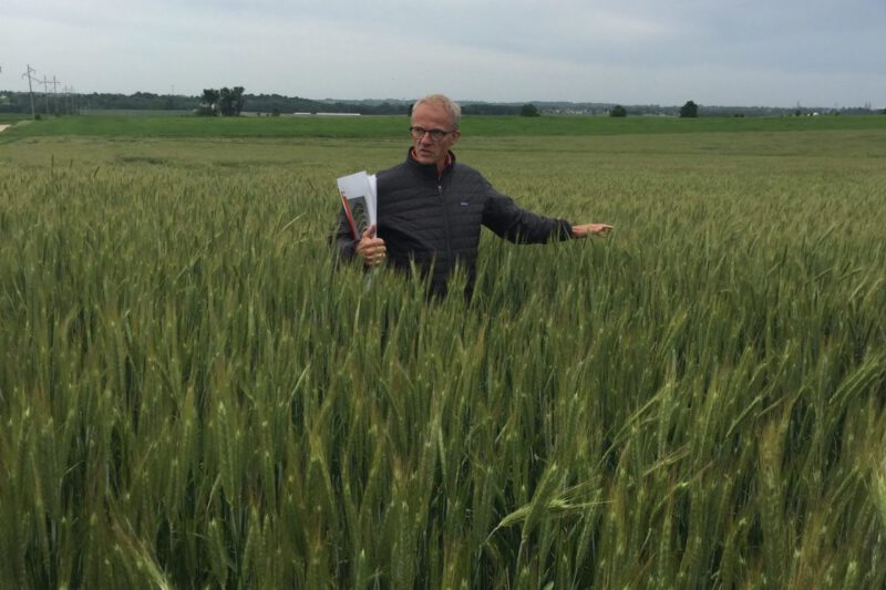 Crop Rotation Analyzer Case Study: Hybrid Rye Pencils Out