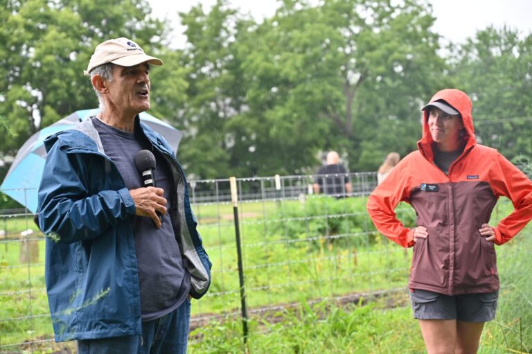 If You Plant It, They Will Come