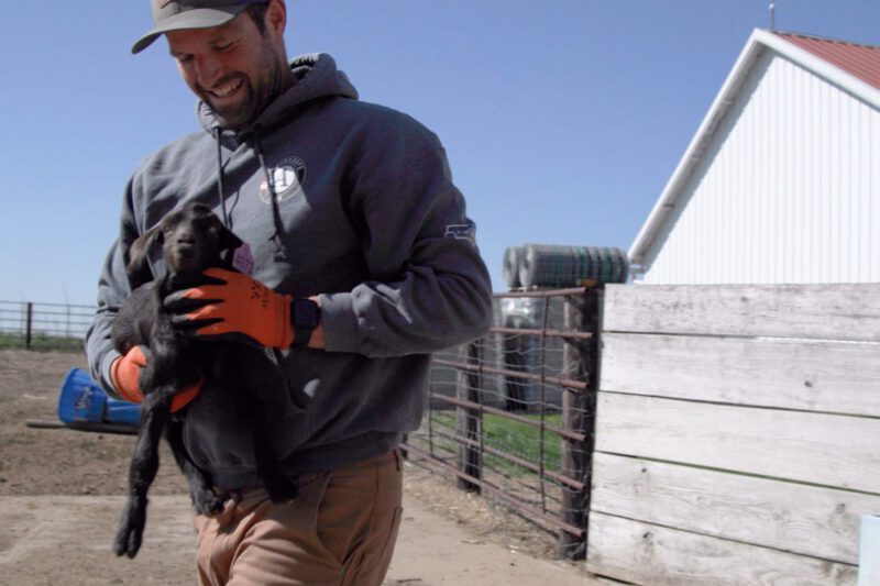 Kidding Season: Culling, Care and Maternal Qualities