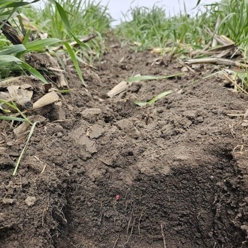 2024 Cooperators' Program Report