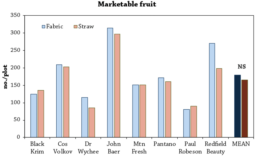 Landscape fabric vs. straw mulch fig 1