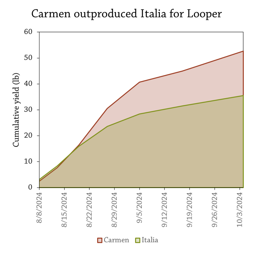 LooperCumuHarvestPeppers
