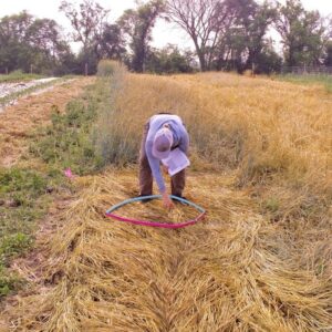 Mackenzie in 4 week tarp on removal day square
