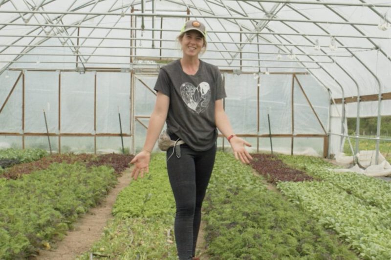 Moveable Hoop House Integrated with Hairy Vetch for Soil Health - Practical Cover Croppers