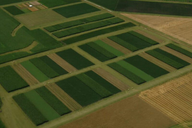 Research Connects Soil Health Principles, Ecosystem Services and Climate Resiliency to Extended Rotations