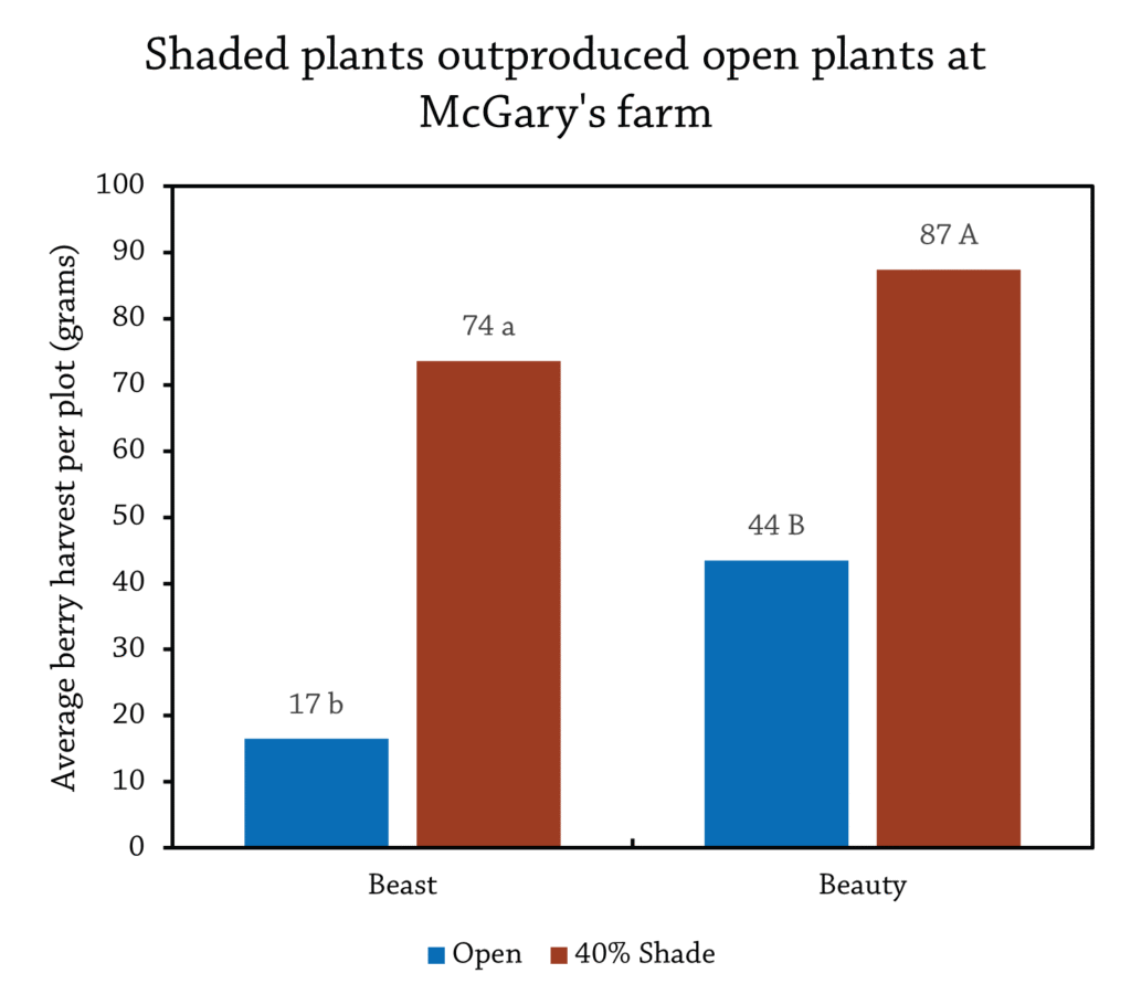 McGaryBerryYieldGraph